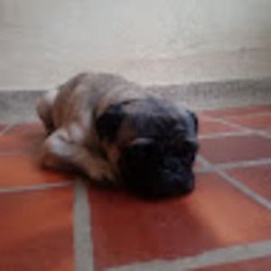 Meet your Posher, Nicolás